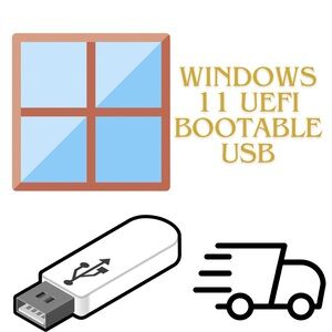 Windows 11 24H2 UEFI Bootable USB Drive No TPM No Ram Required